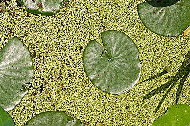 B站游戏大赏：《消逝的光芒2》中文解说预告